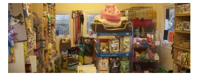 Business 2 image PETS AT HEATH Pet Shops in Derby De