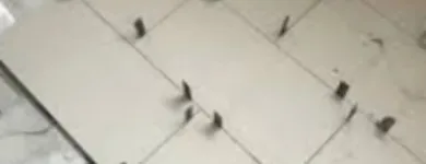 Business 9 image PRIMEHAVEN.CO.UK Landscapers in MITCHAM Gr