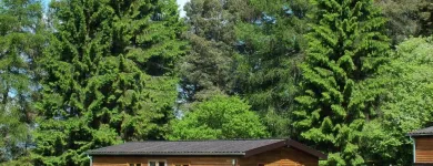 Business 2 image RENTOKIL SPECIALIST HYGIENE Commercial Cleaning in Bicester Ox