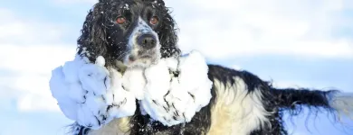 Business 1 image RICHARD WALKER PORTRAITS Wedding Services in Brough No