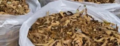 Business 1 image RUBBISH REMOVAL HARROW LTD. Scrap & Waste Merchants in Harrow Gr