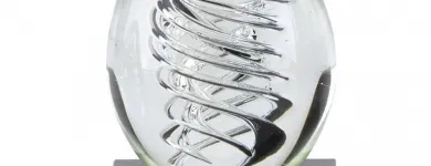 Business 7 image RYAN PGT T-shirt & Garment Printing in Stockport Gr