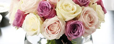Business 5 image SPECIAL OCCASIONS FLORIST Florists in Liverpool Me