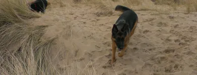 Business 10 image SPRING SHADES LTD Textile Services & Supplies in Leicester Le