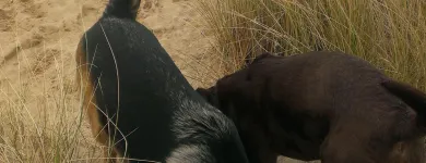 Business 11 image SPRING SHADES LTD Textile Services & Supplies in Leicester Le