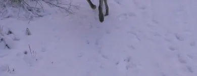 Business 16 image SPRING SHADES LTD Textile Services & Supplies in Leicester Le