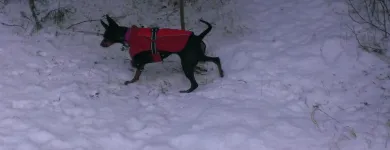 Business 3 image SPRING SHADES LTD Textile Services & Supplies in Leicester Le