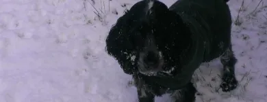 Business 4 image SPRING SHADES LTD Textile Services & Supplies in Leicester Le