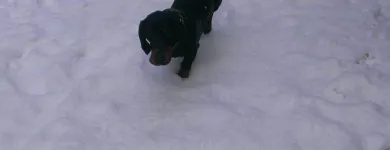 Business 6 image SPRING SHADES LTD Textile Services & Supplies in Leicester Le