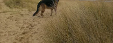 Business 8 image SPRING SHADES LTD Textile Services & Supplies in Leicester Le