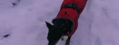 Business 2 image SPRING SHADES LTD Textile Services & Supplies in Leicester Le