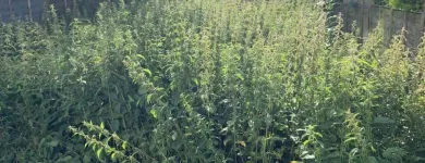 Business 30 image STAFFORDSHIRE PAVING COMPANY Paving & Driveway Contractors in Walsall We