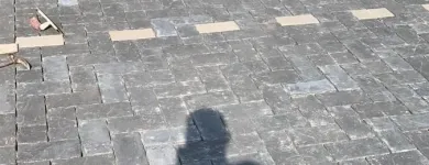 Business 92 image STAFFORDSHIRE PAVING COMPANY Paving & Driveway Contractors in Walsall We