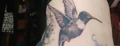 Business 3 image STUDIO NINE Tattoo Artists in Southend On Sea Es