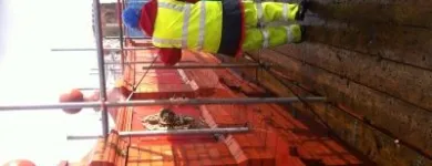 Business 4 image SUREPOINT RESTORATION Plasterers, Screeders & Dry Lining Contractors in Manchester Gr