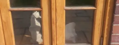 Business 16 image SWB DECORATING Wallpapers & Wallcoverings in Norwich No