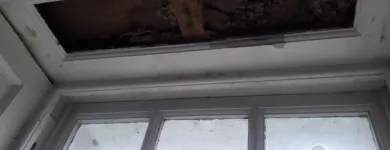 Business 49 image SWB DECORATING Wallpapers & Wallcoverings in Norwich No