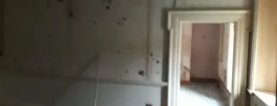 Business 86 image SWB DECORATING Wallpapers & Wallcoverings in Norwich No