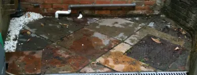 Business 3 image T ADAMS WINDOW CLEANING Window Cleaners in Surbiton Su