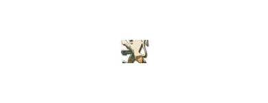 Business 9 image THE BRAMPTON THERAPEUTIC CENTRE Complementary Therapies in Brampton Cu