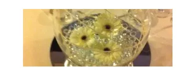 Business 1 image THE CELEBRATION STARTS HERE Wedding Supplies in Salford Gr