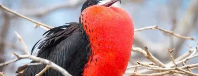 Business 21 image THE CURIOUS TRAVEL COMPANY Travel & Tourism in Leeds We