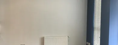 Business 8 image THE DIRECT PAINTING GROUP Wood Treatment & Preservation in London Gr