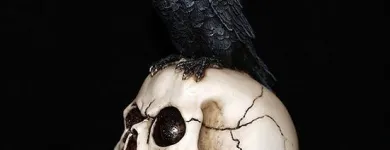 Business 8 image ULTIMYTH Shopping & Retail in Bolton Gr