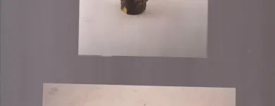 Business 14 image UNIQUE FIRE & SECURITY LTD Alarm Installation in Poole Do