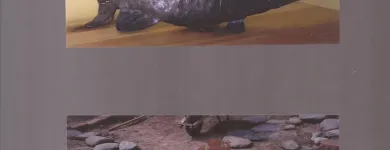 Business 6 image UNIQUE FIRE & SECURITY LTD Alarm Installation in Poole Do