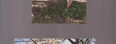 Business 8 image UNIQUE FIRE & SECURITY LTD Alarm Installation in Poole Do