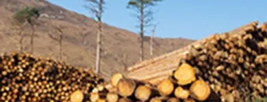 Business 4 image W.G. BURBRIDGE Deck & Patio Builders in Ramsgate Ke