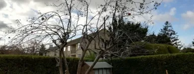 Business 8 image WEBSTER GARDENING LTD Tree Services in Midsomer Norton So