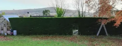 Business 15 image WEBSTER GARDENING LTD Tree Services in Midsomer Norton So