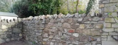 Business 23 image WEBSTER GARDENING LTD Tree Services in Midsomer Norton So