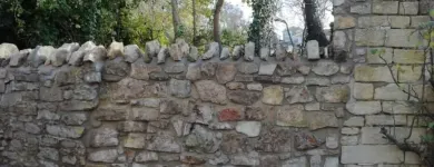 Business 24 image WEBSTER GARDENING LTD Tree Services in Midsomer Norton So