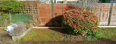 Business 38 image WEBSTER GARDENING LTD Tree Services in Midsomer Norton So