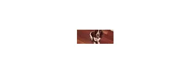 Business 1 image WOOD FLOORS OF FARNHAM Home & Garden in Farnham Su