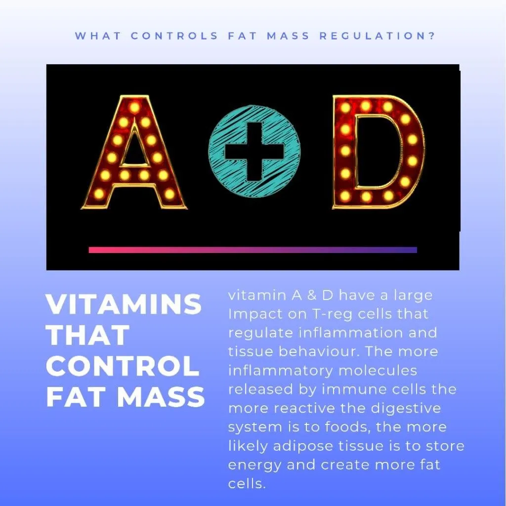 Business 1 image CHRISTIAN THOMSON