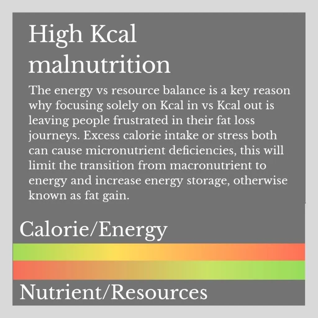 Business 4 image CHRISTIAN THOMSON