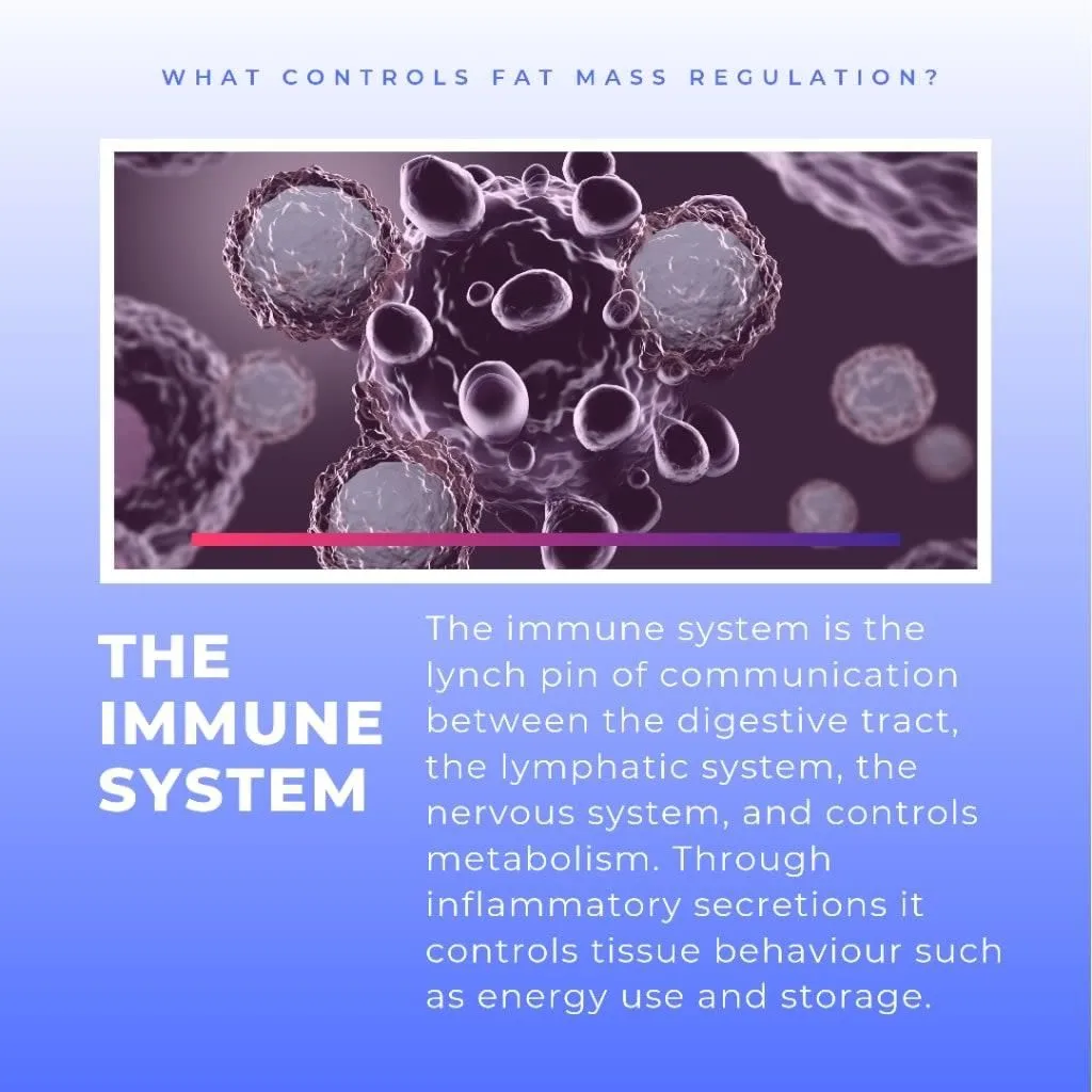 Business 6 image CHRISTIAN THOMSON