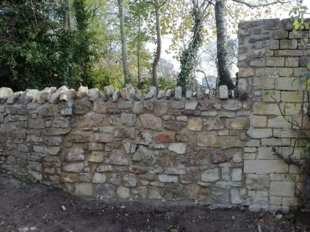 Business 24 image WEBSTER GARDENING LTD