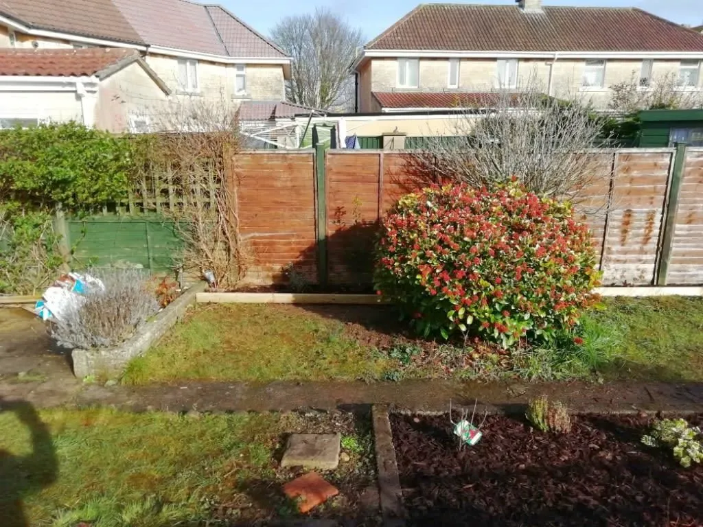 Business 38 image WEBSTER GARDENING LTD