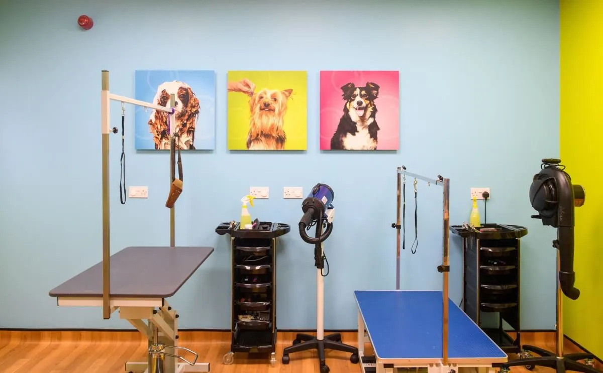 Business 1 image THE GROOM ROOM TRAFFORD