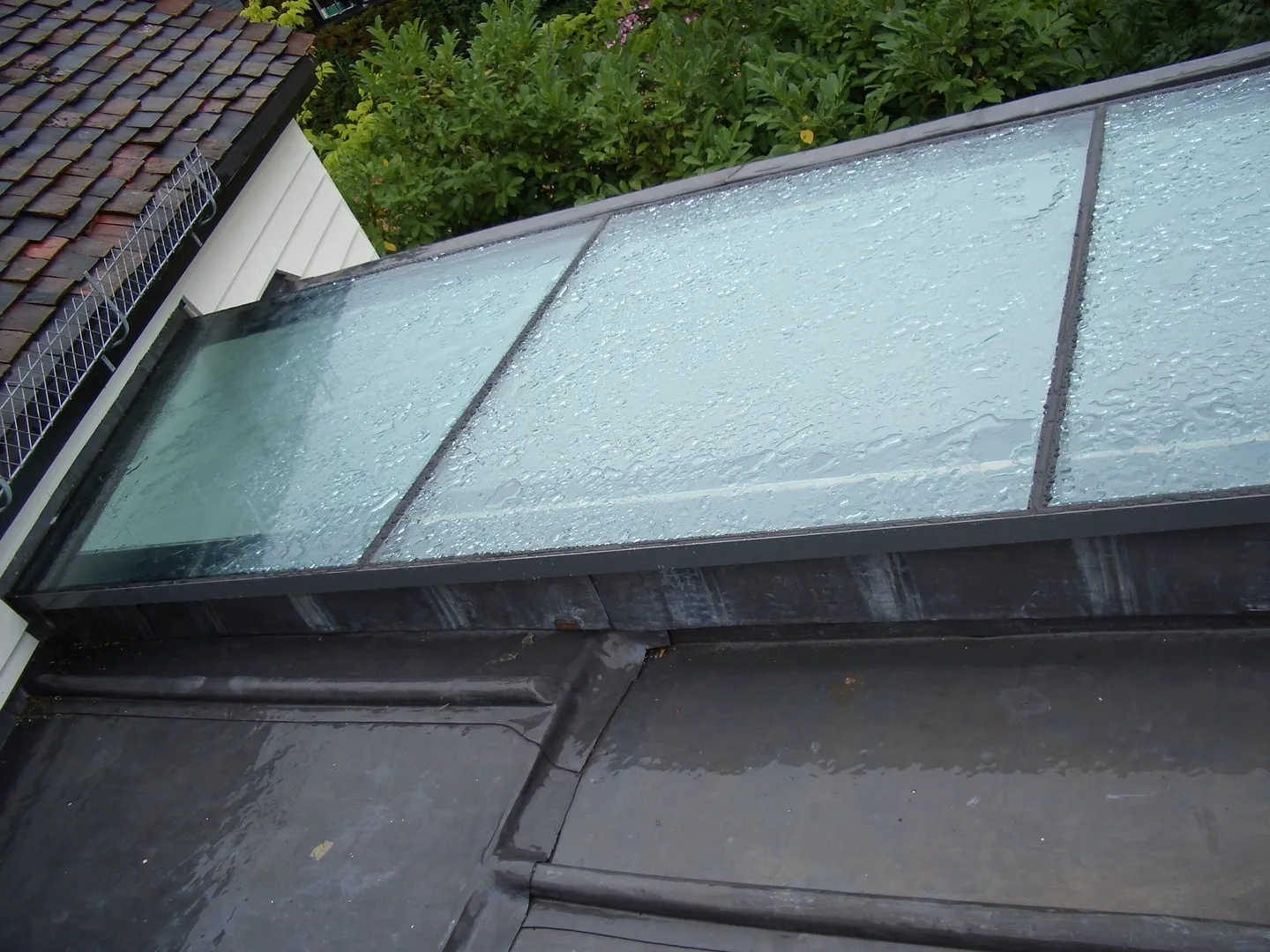 Business 5 image LUCID INTERACTIVE SOFTWARE DEVELOPMENT LTD