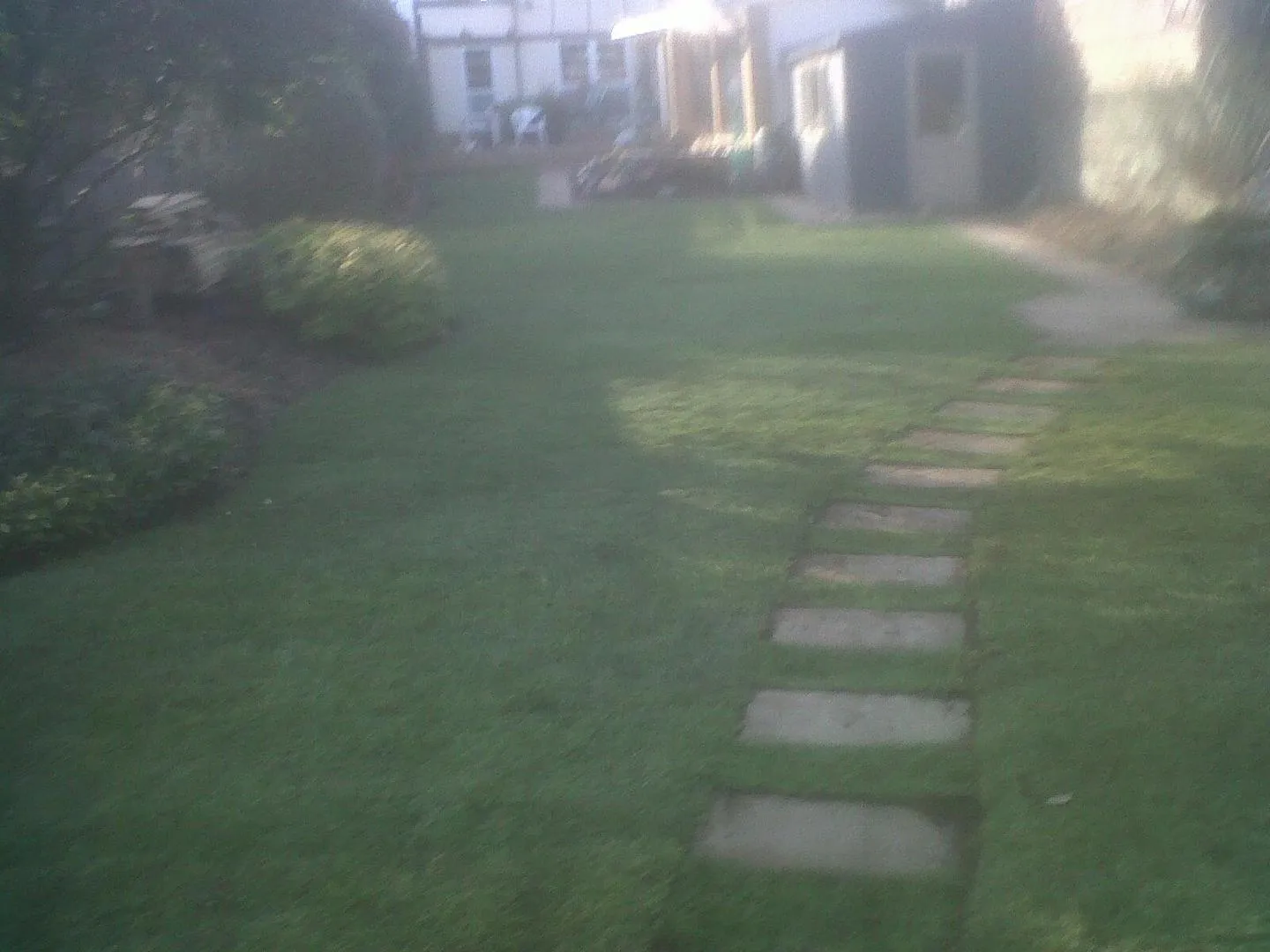 Business 3 image SARIS