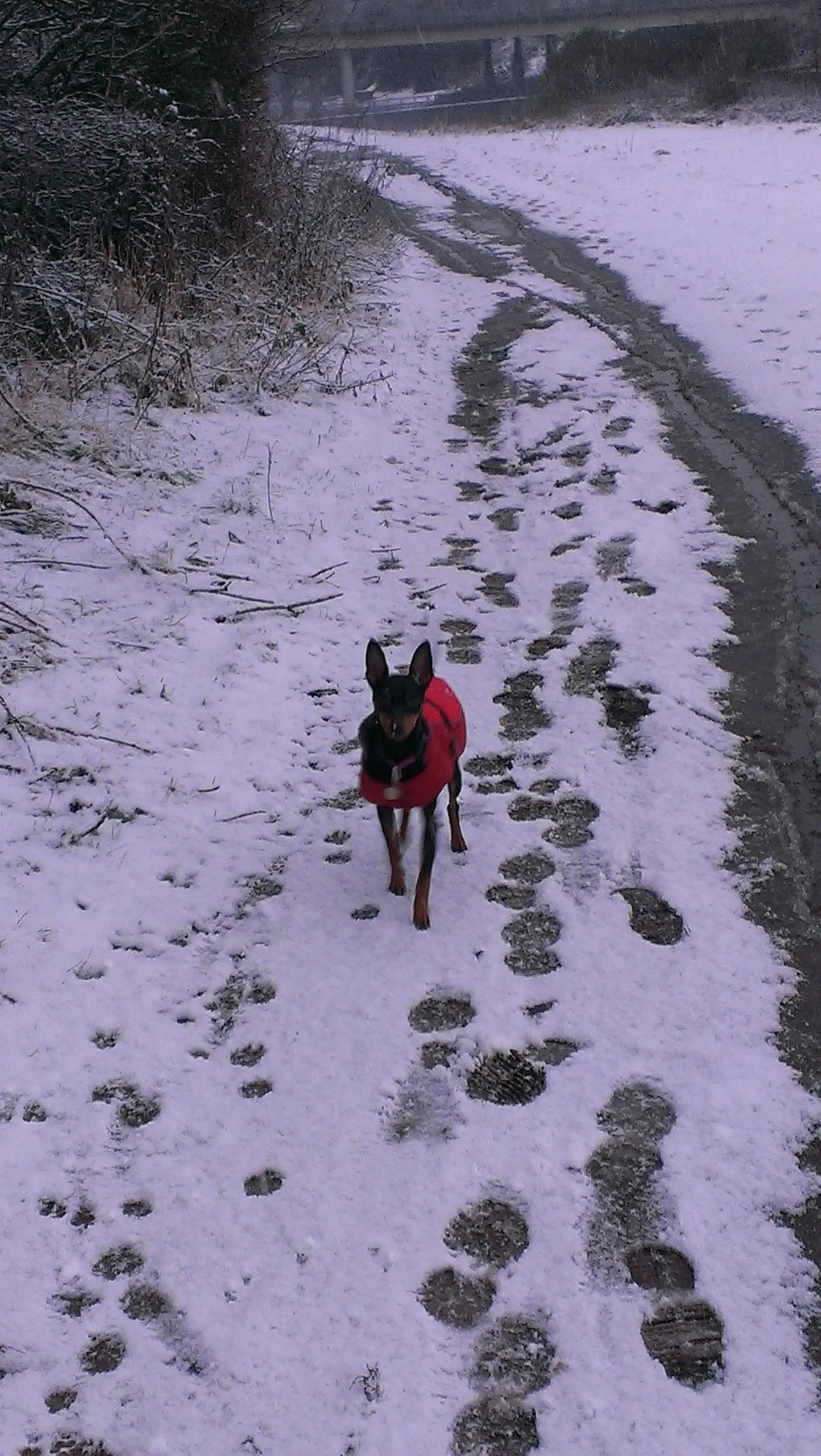 Business 7 image SPRING SHADES LTD