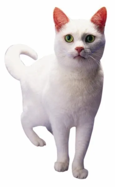 Business 3 image CONTACT INDUSTRIAL RECRUITMENT LTD