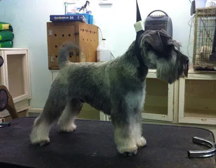 Business 2 image HALFORDS AUTOCENTRE