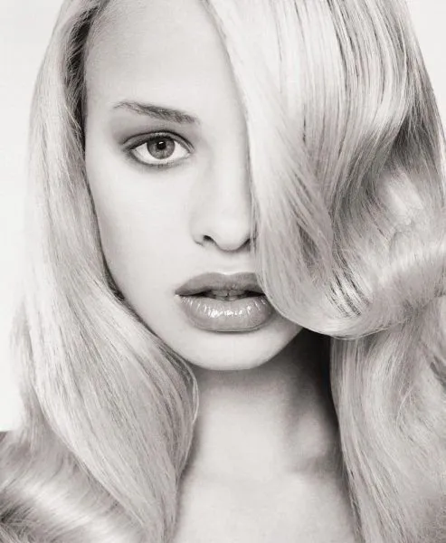 Business 3 image BROADWOOD ESTATES LTD